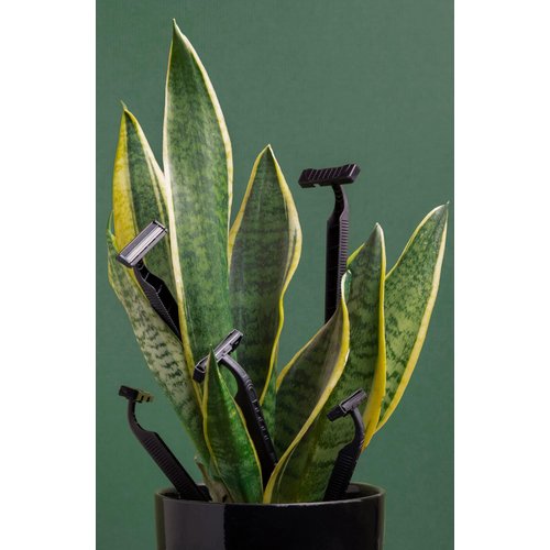 Biodegradable Wheatstraw Unisex Eco Friendly Razors