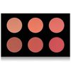 SHANY Shimmer & Matte Warm-Toned Blush Palette - Layer 6 - Refill for the 6 Layer Mini Masterpiece Collection Makeup Set