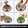 Serentive 2Pcs Cat Bowls Non-Slip Stainless Steel Small Cat Food Bowls Unbreakable Thicken Cat Feeder 7 Oz Cat Dishes Suitable for Indoor Small Pets Removable Rubber Base Easily Clean Lovely Color