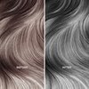 MOEHAIR Color Infuse Silver Shampoo | Paraben & Sulfate Free Shampoo | Removes Unwanted Orange Tones | Silver Purple Shampoo | Neutralizes Brassiness | Professional-Grade Toning Shampoo (12 Fl. Oz)