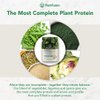 PlantFusion Complete Vegan Protein Powder - Plant Based Protein Powder With BCAAs, Digestive Enzymes and Pea Protein - Keto, Gluten Free, Soy Free, Non-Dairy, No Sugar, Non-GMO - Vanilla Bean 1 lb