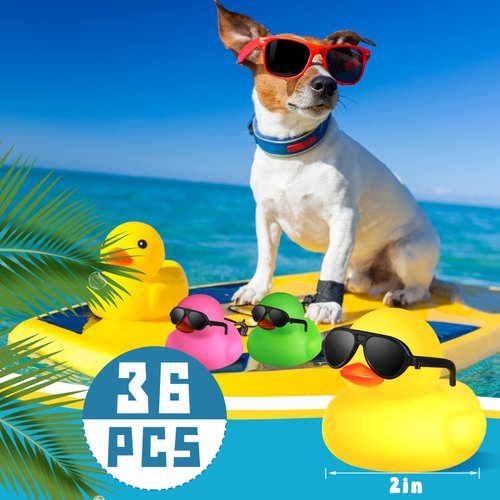 Chivao 36 Pcs Mini Rubber Ducks with 36 Sunglasses Rubber Ducks in Bulk Bathtub Duckies Toys for Kids Christmas Valentine's Day Gifts Birthday Party Favors Cruise(Colored, Duck with Sunglasses)
