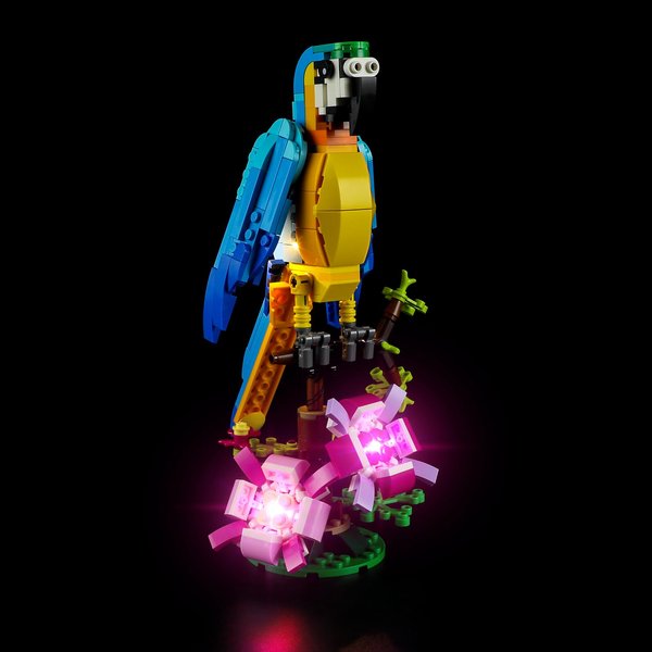 LIGHTAILING Light for Lego-31136 Exotic-Parrot - Led Lighting Kit Compatible with Lego Building Blocks Model - NOT Included The Model Set