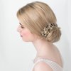 EVER FAITH Wedding Hair Comb Rhinestone Pearl Bridal Hair Accessories Flower Wedding Hair Piece for Bride Bridesmaids Blue Gold-Tone