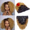 Brazilian Real Human Hair Clip in Extensions Afro Kinkys Curly Clip Ins Brazilian Double Weft Remy Hair African Americans Natural Virgin Hair 8A Full Head For Black Women 7pcs/set 120gram/set 16 Inch