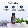 Sleep Essential Oil Blend for Diffuser - Dream Essential Oils for Diffusers Aromatherapy and Relaxation with Clary Sage Ylang-Ylang Roman Chamomile and Lavender Essential Oils for Sleep Time Support