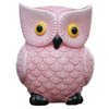 ZCHING Cute Owl Ceramic Piggy Bank Personalized Money Saving Bank for Kids Girls Nursery Gift Decor
