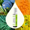 Plant Therapy KidSafe Grow Ease Essential Oil Blend Pre-Diluted Roll-On 10mL (1/3 oz) 100% Pure, Therapeutic Grade