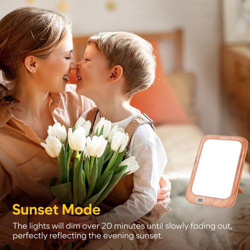 Easy@Home Light Therapy Lamp: LED Light Therapy Energy Lamp UV-Free with 10000 Lux | Sun Lamp with 3 Color Adjustable Brightness Levels | Timer Memory Function ELT-492-WG