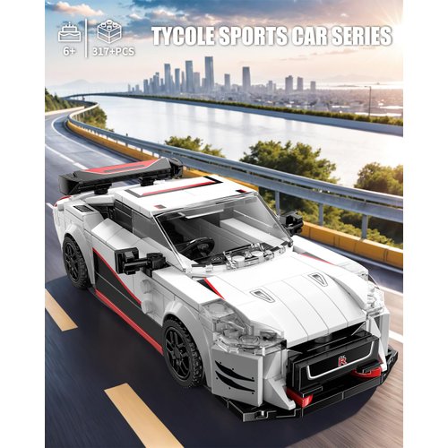 TYCOLE Super Sports Car Building Block Set with Display Case,Speed Race Car Building Kits Construction Toy,Collectible Car Model and Ideal Gift for Adults and Kids 6 and up(317+pcs)