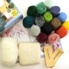 Woolbuddy Needle Felting Kit, Sea Animal Felting Kits for Beginners Adults and Kids, Craft for Adults, DIY, Needle Felting Supplies Included, Wool Roving, Felting Needles, Felting Pad, Instruction
