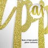 Happy Gotcha Day Banner, Pet Adoption Party Decorations Supplies, Dog Cat Gotcha Party Bunting Garland, Pre-assembled (Gold Glitter)