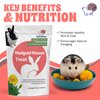 Snout and Shell Marigold Flower Treat for Small Pets – Organic, Healthy Digestive Support – Fun Foraging Snack for Rabbits, Guinea Pigs, Chinchillas, and More – 0.5 oz / 14g