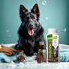 Spa Synergy Pet Dog Shampoo Mud and Natural Dead Sea Mineral Rich, Aloe Vera & Vitamin-E, Anti-itching, Soften & Shiny Coat, Moisturizing - Olive Oil - (1) Bottle 16.5 FL OZ