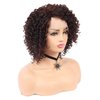 BEAUTY FLAG Afro Curly Lace Front Wigs Brown Synthetic Heat Resistant Fiber Short Curly Wig for Black Women