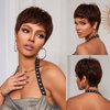 HAIRCUBE Dark Brown Pixie Cut Wigs for Women Pixie Cut Human Hair Wigs Short Remy Hair Dark Brown Color Short Black Layered Wavy Wigs (pixie cut wig, dark brown)