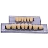 RZJZGZ 168 Pcs Dental Synthetic Resin Tooth Denture Temporary False Teeth 6 Sets False Teeth 23 A2
