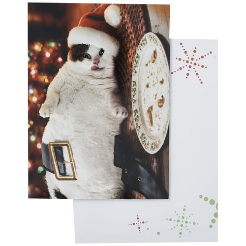 Avanti Press Christmas Cards, Santa Cat with Cookies, Count of 10 (703952)