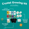 Channie's Crystal Growing Kit