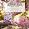 C.O. Bigelow All Purpose Salves, Variety Pack of 3 Lip Balm Tins for Chapped Lips & Dry Skin - Classic Rose, Lavender & Sakura Rose Moisturizing Lip and Skin Salves, 0.8 oz each