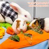 Rabbit Hay Feeder - Interactive Polar Fleece Pet Foraging Mat Toy Indoor for Guinea Pig Bunny Chinchillas Hamster Ferrets Small Aniamls - Anti Slip Feeding Mat Treat Dispenser Machine Washable
