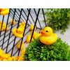 SOHAPY 100Pcs Mini Yellow Rubber Ducks Tiny Baby Shower Rubber Ducks, Squeak Fun Baby Yellow Rubber Bath Toy float Fun Decorations for Shower Birthday Party Favors Cupcake Carnival Game Gift (100Pcs)