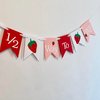 Half Birthday Party Decoration, Red, Pink, Green Ribbon Garland with Strawberry Banner, High Chair Banner, 6 Month Birthday