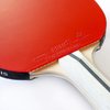 Palio Expert 3.0 Table Tennis Racket & Case - ITTF Approved, Beginner Ping Pong Bat