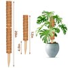 2 Pcs 12 Inches Coir Moss Poles for Climbing Plants with 4 Pcs Adjustable Plant Twist Ties - Coir Moss Totem Stick for Creepers Plant Support Extension, Climbing Indoor Plants(Total 20 Inch)