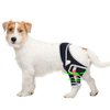 Dog Knee Brace for Torn ACL Hind Leg, Dog Knee Braces with Cruciate Ligament Injuries Rear Legs or Front Legs, Adjustable Pain Relief Hip Dysplasia Support Brace for Back Legs, XS