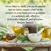 Nature’s Answer USDA Organic Tea Tree Essential Oil, 100% Pure | Natural Aromatherapy Oil for Diffuser/Humidifier, Steam Distilled 0.5 fl oz. (15ml) | Made in USA