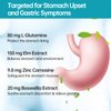 purmeo 5 in 1 High Potency H. Pylori Treatment Probiotics - 1 Per Day - Gastritis, Acid Reflux, Heartburn, Stomach Lining Repair - Pylopass Lactobacillus Reuteri DSM17648 - Made in Germany