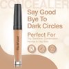 Frankie Rose Cosmetics Lil Secret Full Coverage Concealer, Neutral, Cream, 9 Flattering Tones