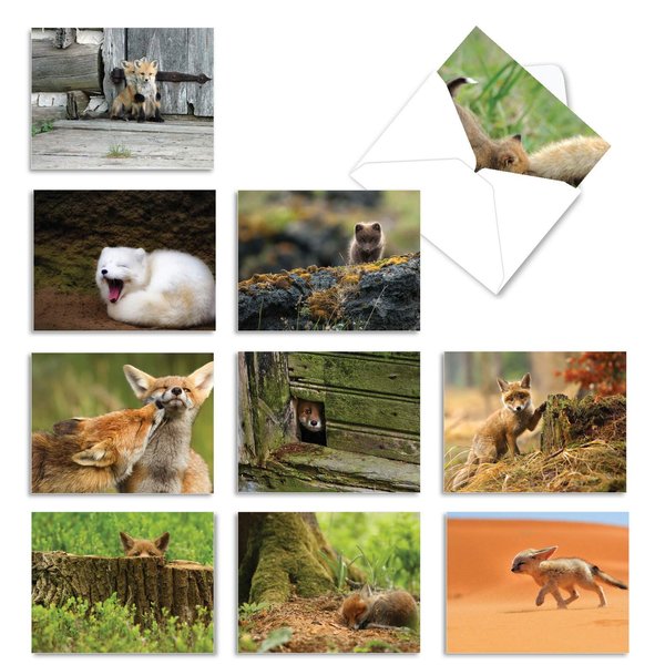 The Best Card Company - 10 Adorable Note Cards Blank (4 x 5.12 Inch) - Wildlife and Animal Cards, Assorted Boxed Kids Set - Little Foxes M6480OCB