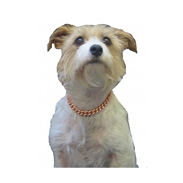 Copper Magnetic Therapy Dog Collars Made to Measure in Solid Copper with Magnets (30 inch)