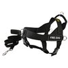 Dean and Tyler Bundle One DT Universal Harness, Fire Dog, X-Small (21" - 25") with One Matching Padded Puppy Leash, 6-Feet Stainless Snap, Black