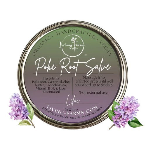Organic Poke Root Castor Oil Salve | Vegan Lymphatic Support | Enriched With Essential Oils | Cysts, Boils, Fibroids, Swollen Lymph Nodes, Breast & Joint (1oz, Lilac)