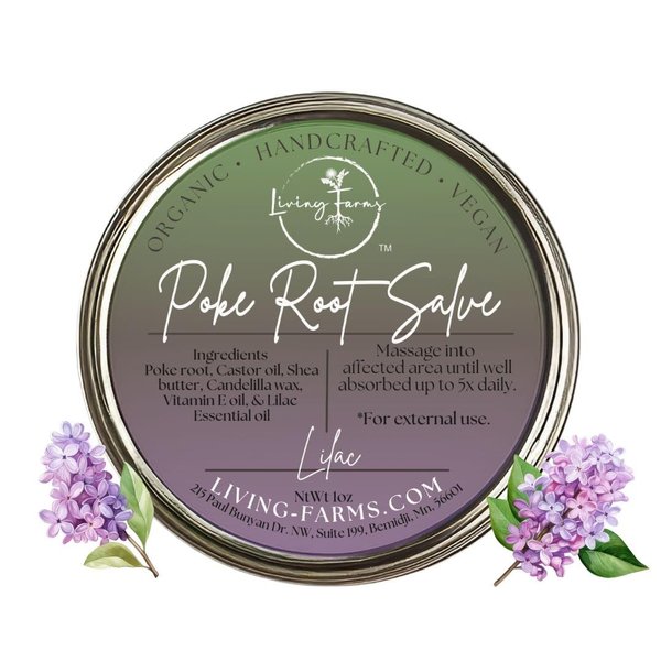Organic Poke Root Castor Oil Salve | Vegan Lymphatic Support | Enriched With Essential Oils | Cysts, Boils, Fibroids, Swollen Lymph Nodes, Breast & Joint (1oz, Lilac)