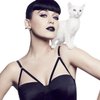 COVERGIRL Katy Kat Matte Lipstick Created by Katy Perry Perry Panther, .12 oz (packaging may vary)