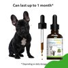 Pet Wellbeing Urinary Gold for Dogs - Vet-Formulated - Canine Urinary Tract Health, Supports Normal Urinary pH - Natural Herbal Supplement 2 oz (59 ml)