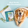 SPA SYNERGY Dead Sea Mud Scrub for Dog with Natural Mineral & Vitamin-E, Dog Mud Scrub, Heavenly Perfumed, Hair Softener, Skin Soothing, Softening, Moisturizing. (Eucalyptus & Aloe Vera)
