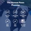 Honest Paws Dog Shampoo and Conditioner - 5-in-1 for Allergies and Dry, Itchy, Moisturizing for Sensitive Skin - Sulfate Free, Plant Based, All Natural - Oatmeal & Aloe -16 Fl Oz