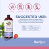 MaryRuth Organics | Liquid Iron Supplement Prenatal & Postnatal for Pregnant & Lactating | Iron Deficiency | Immune Support | Sugar/Gluten Free | Vegan | Non-GMO | 15.22 Fl Oz