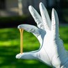 Wedge Guys Bamboo Golf Tees 2-3/4 Inch - 250pcs. - Free Ball Marker - Stronger Than Wooden Golf Tees Biodegradable & Less Friction, PGA Professional Approved, Bulk Bag