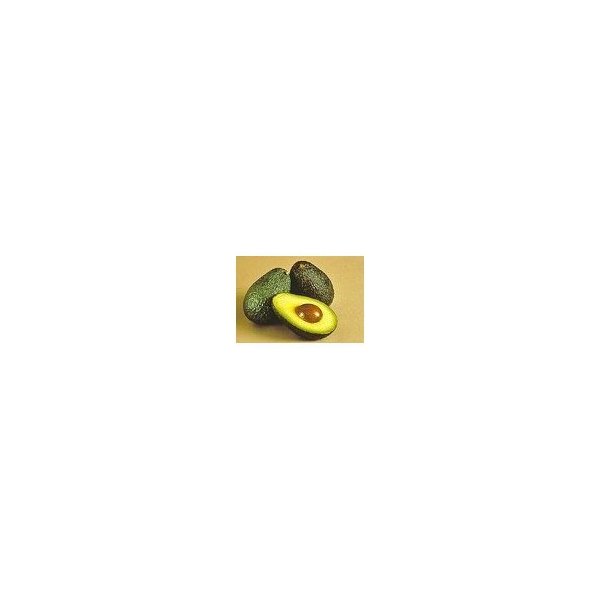 Fresh Avocado (6 Avocados)