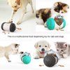 Guardians Treat Dispensing Dog Toy, Tumbler Dog Cat Food Dispenser Feeder Ball Toys, Interactive Chase Toys for Pets Increases IQ (Black)