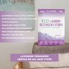 Proto Future Eco-friendly Laundry Detergent Sheets - (60 Loads) Biodegradable, Hypoallergenic, Zero Waste, Plastic-Free Eco-Strips - No Enzymes, Plant-Based Formula (Lavender, 60 Washes)