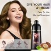 JINGDAIBURY Instant Chestnut Brown Hair Dye Shampoo 3 in 1, Argan Oil Gray Reducing Hair Dye Colors, Brown Hair Dye, Hair Color Shampoo for Men Women, Natural Plant Hair Dye Shampoo 500ml Maroon