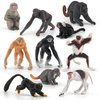 Fantarea Wild Life Jungle Animal Model Playsets 10 PCS Mini Monkey Figurines Proboscis Monkeys Japanese Macaques Marmosets Gibbons Lemurs Action Figure Toy for Child Kids Decor Gift