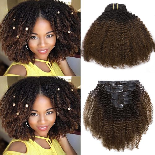 Loxxy Clip In Human Hair Extensions 4B Afro Kinky Curly Clip Ins Real Remy Afro Natural Curly Clip in Hair Extensions Ombre Dark Brown Clip In Hair Extensions For Black Women Thick Hair 14Inch # 1b/4